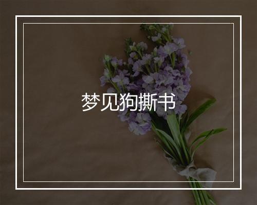 梦见狗撕书