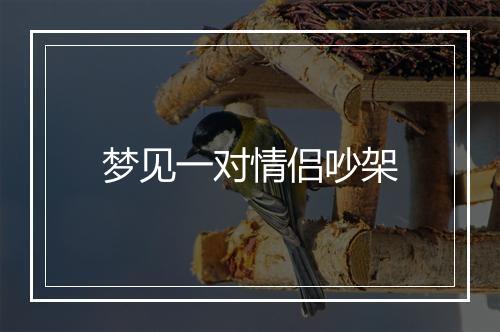 梦见一对情侣吵架