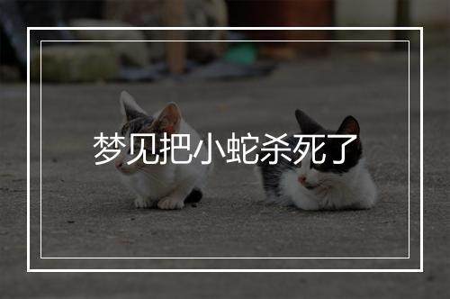 梦见把小蛇杀死了