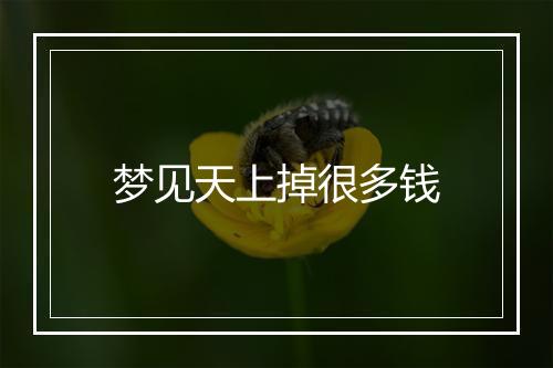 梦见天上掉很多钱