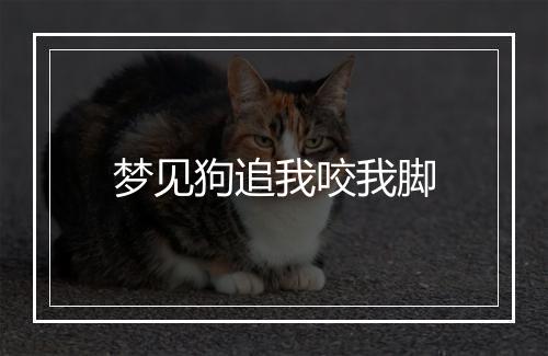 梦见狗追我咬我脚