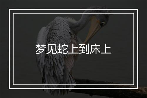 梦见蛇上到床上