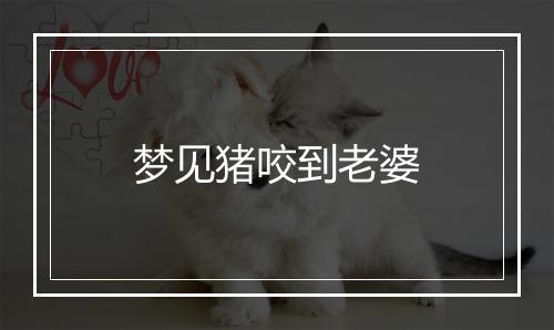 梦见猪咬到老婆