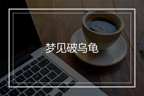 梦见破乌龟