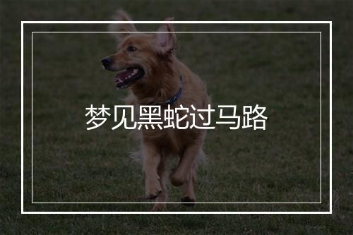 梦见黑蛇过马路