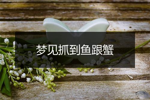 梦见抓到鱼跟蟹