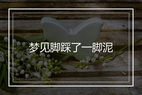 梦见脚踩了一脚泥