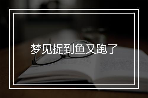 梦见捉到鱼又跑了