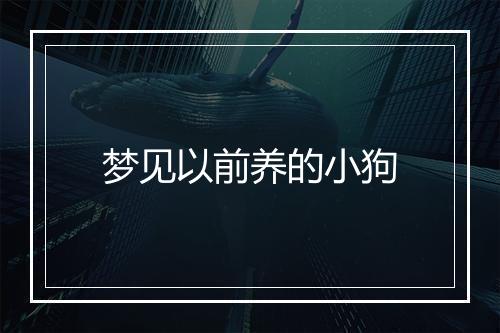 梦见以前养的小狗