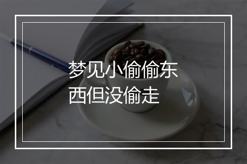 梦见小偷偷东西但没偷走