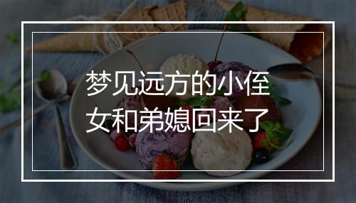 梦见远方的小侄女和弟媳回来了