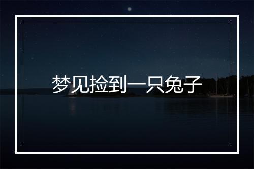 梦见捡到一只兔子