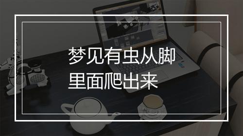 梦见有虫从脚里面爬出来