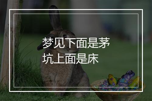 梦见下面是茅坑上面是床