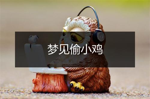 梦见偷小鸡