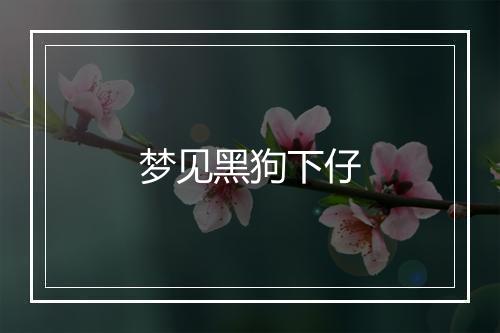 梦见黑狗下仔