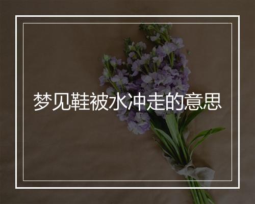 梦见鞋被水冲走的意思