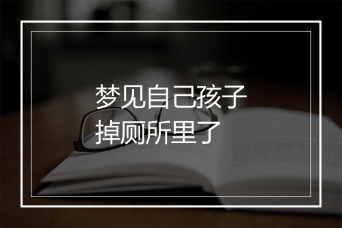 梦见自己孩子掉厕所里了