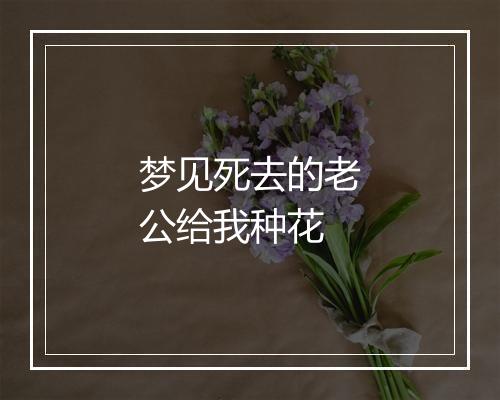 梦见死去的老公给我种花