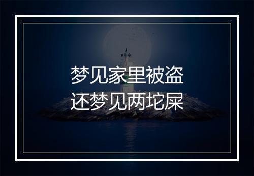 梦见家里被盗还梦见两坨屎