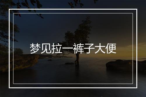 梦见拉一裤子大便