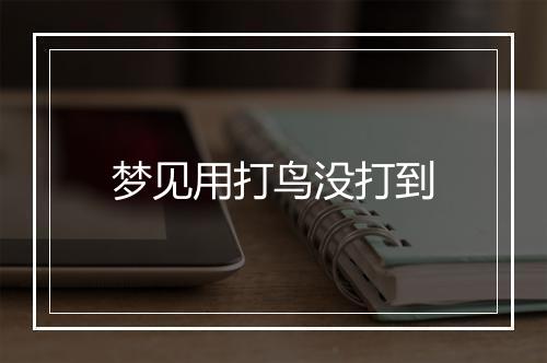 梦见用打鸟没打到