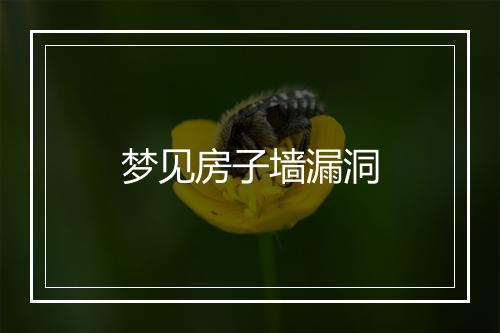 梦见房子墙漏洞