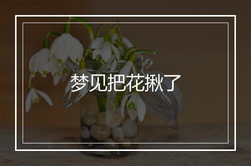 梦见把花揪了