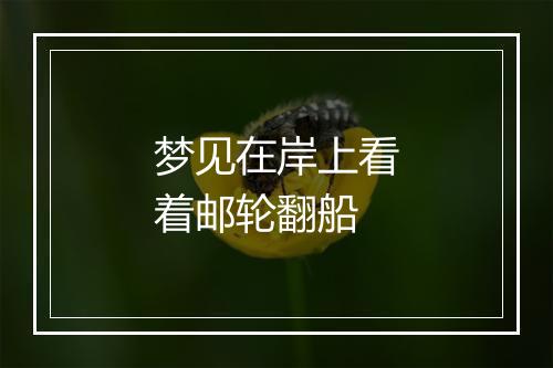 梦见在岸上看着邮轮翻船