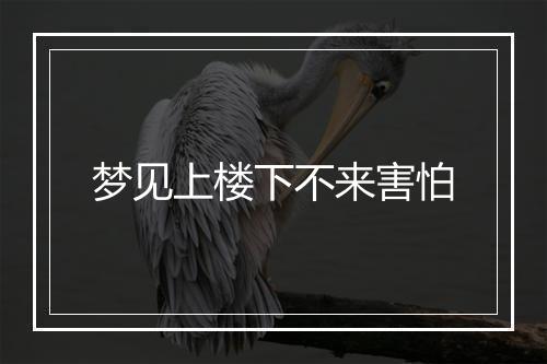 梦见上楼下不来害怕