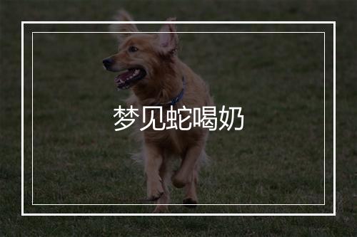 梦见蛇喝奶