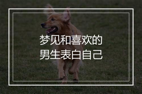 梦见和喜欢的男生表白自己