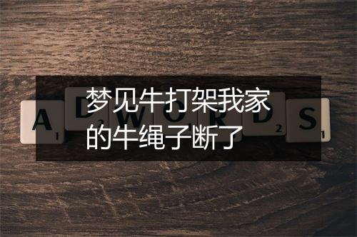 梦见牛打架我家的牛绳子断了