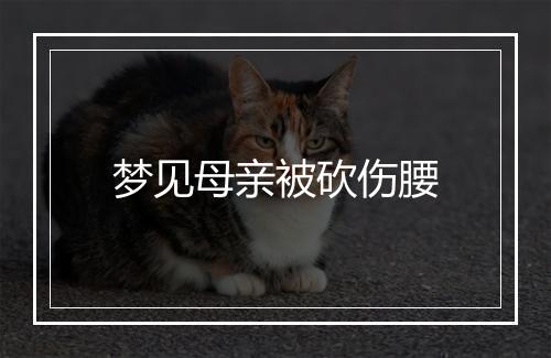 梦见母亲被砍伤腰