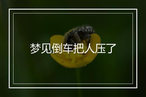 梦见倒车把人压了