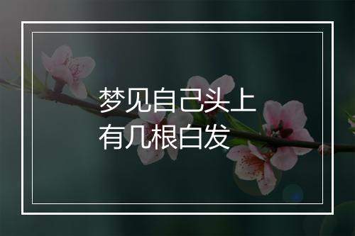 梦见自己头上有几根白发