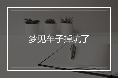 梦见车子掉坑了