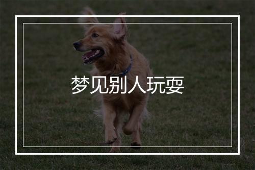 梦见别人玩耍