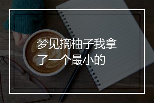 梦见摘柚子我拿了一个最小的