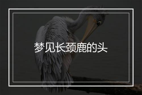 梦见长颈鹿的头