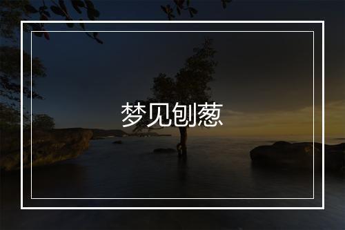 梦见刨葱