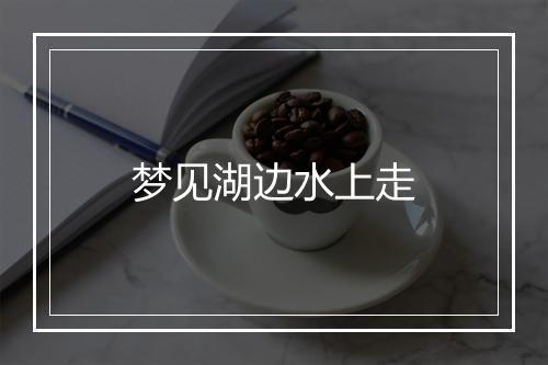 梦见湖边水上走