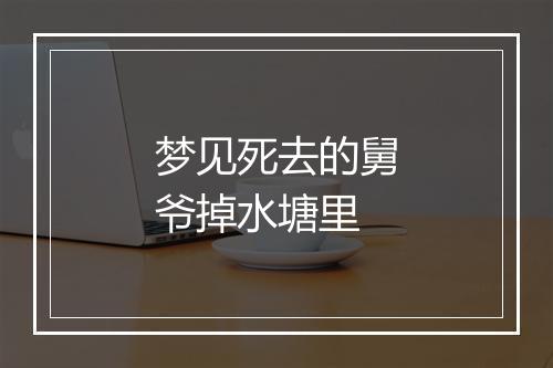 梦见死去的舅爷掉水塘里