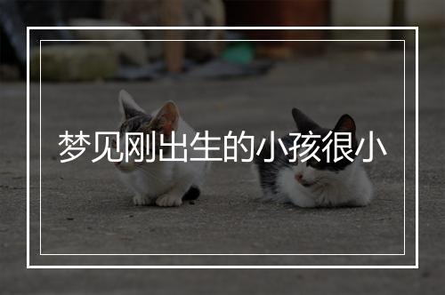 梦见刚出生的小孩很小