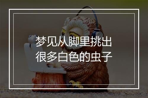 梦见从脚里挑出很多白色的虫子