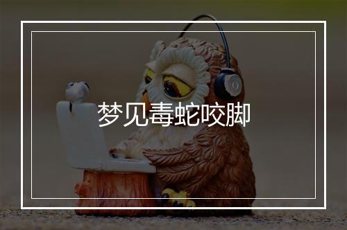 梦见毒蛇咬脚