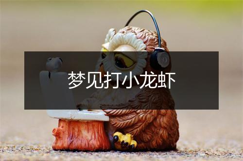 梦见打小龙虾