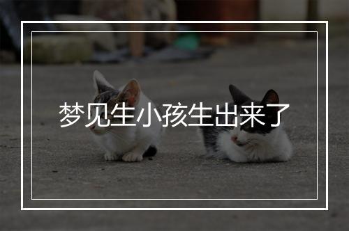 梦见生小孩生出来了