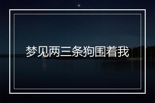 梦见两三条狗围着我