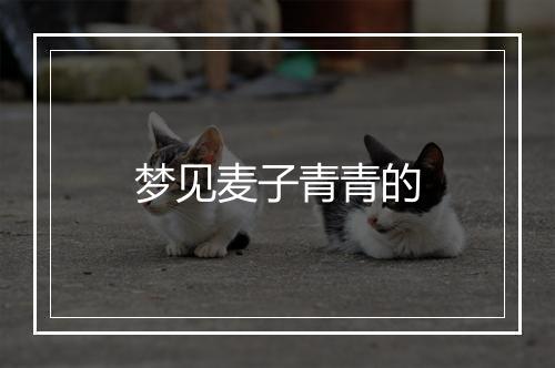 梦见麦子青青的